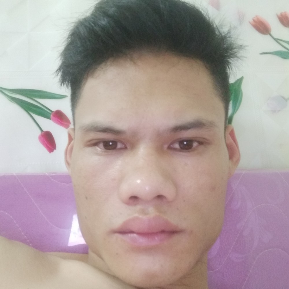 红牛漫步畅快的照片