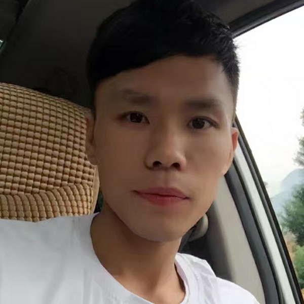 淡定黑猫的照片