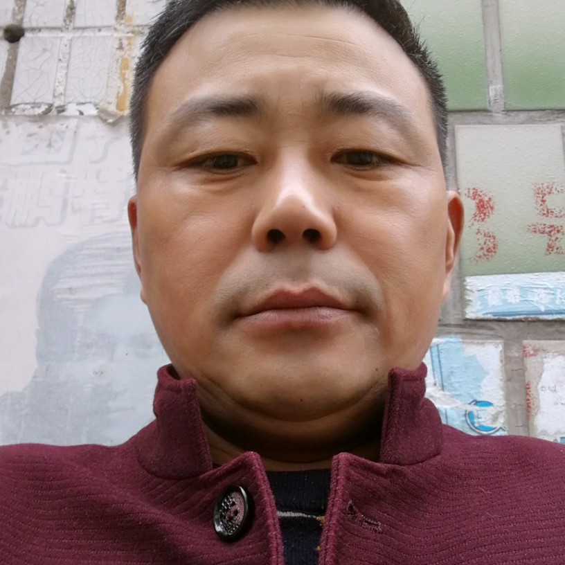 纯情枫叶的照片