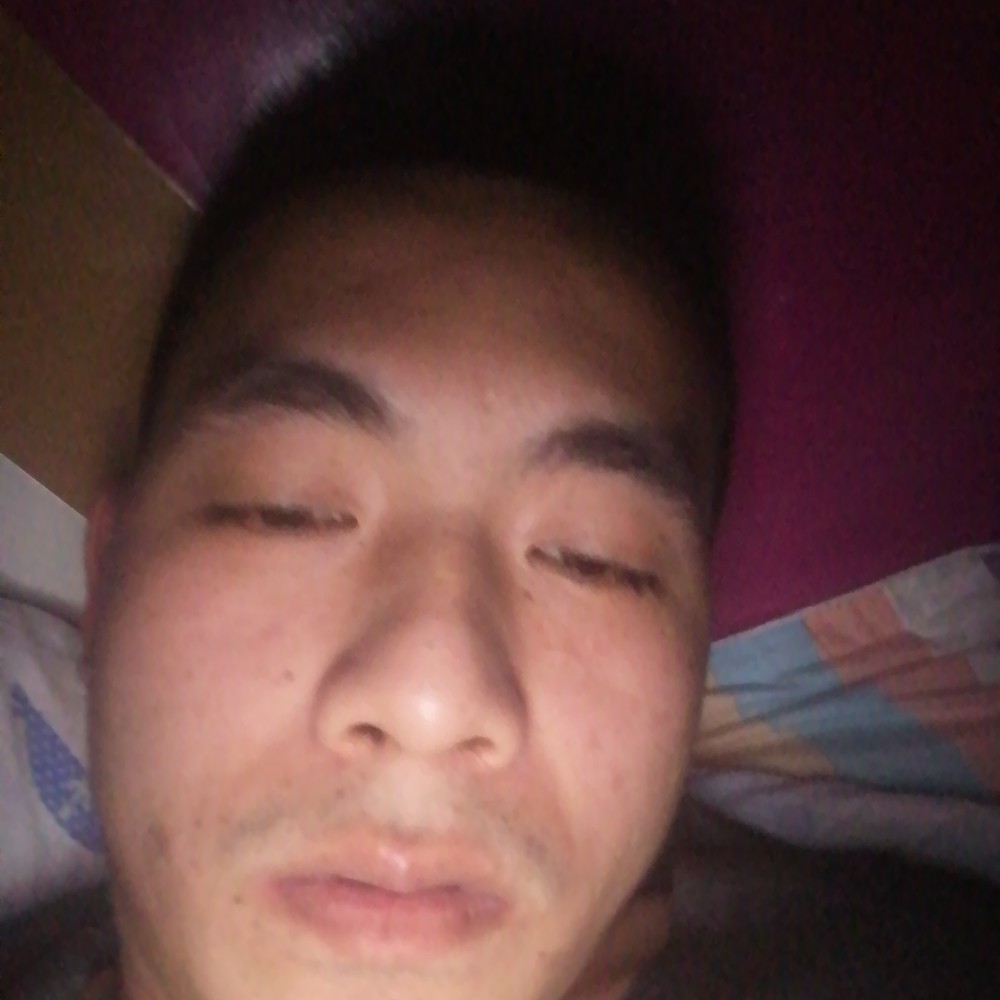 小鸽子愿陶醉的照片