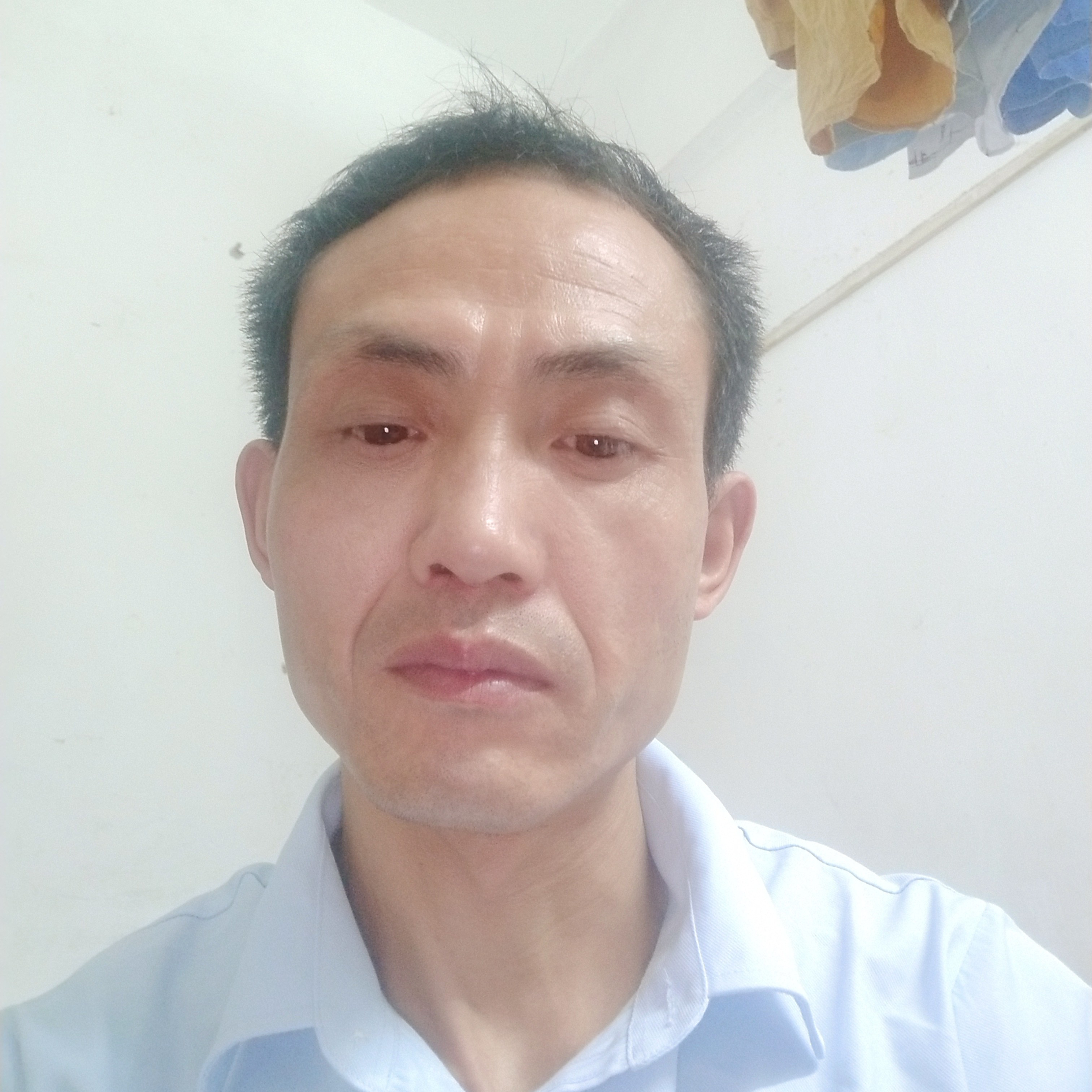 甜蜜和醉梦的照片