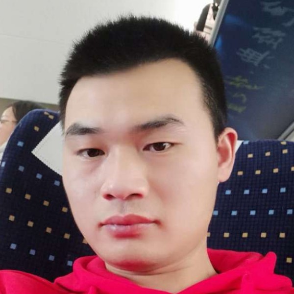 尘落叶的照片