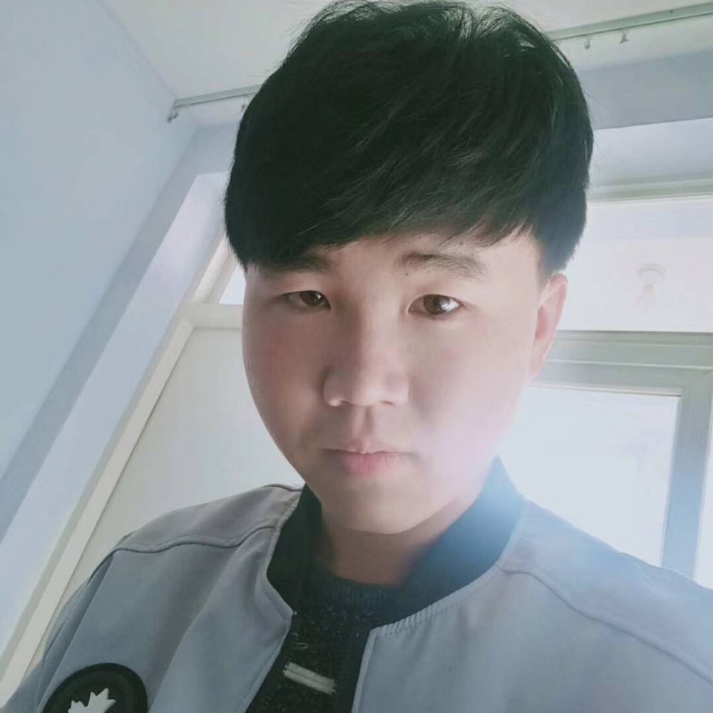 摆振杰的照片