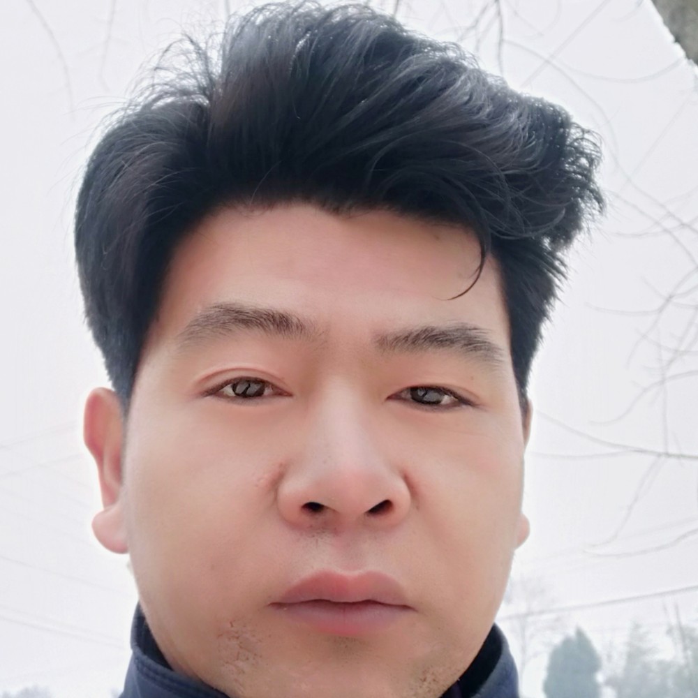 泥猴桃有甜美的照片