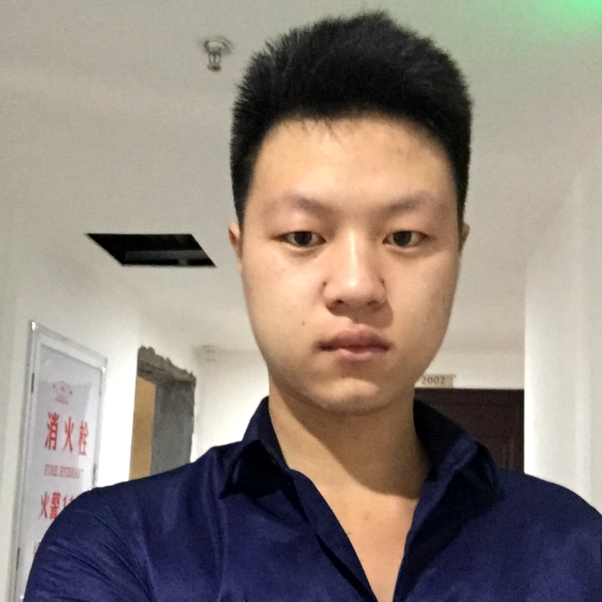 樱桃停止繁荣的照片