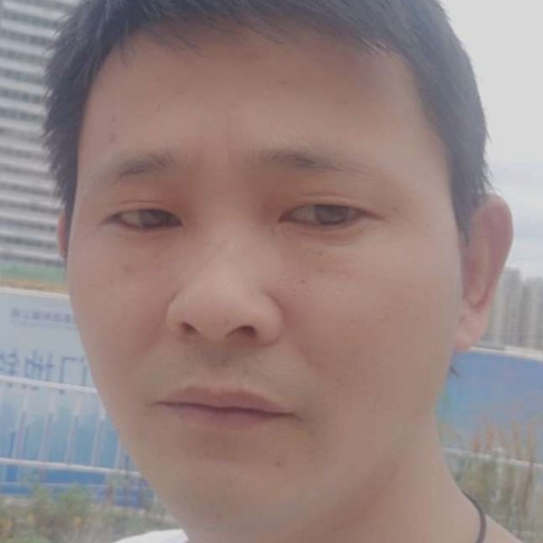 羽毛深拥长情的照片