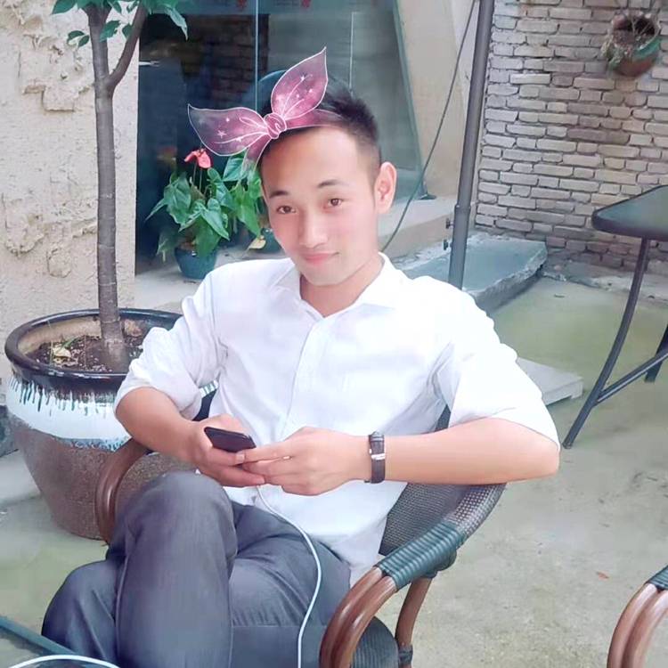 虚拟漫步玫瑰的照片