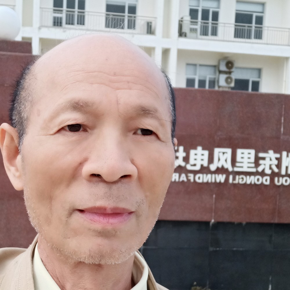 雄驹的照片