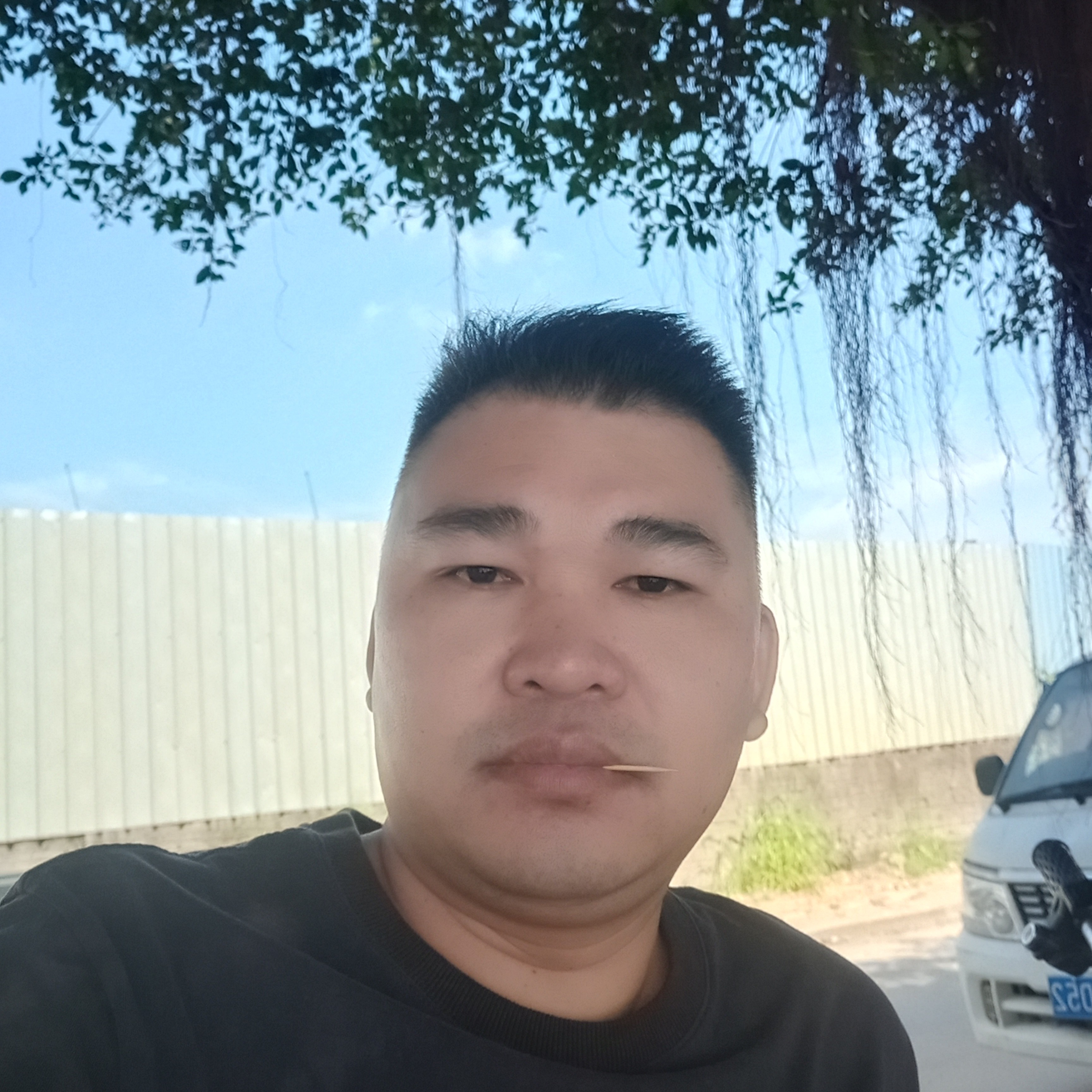 朴素闻月光的照片