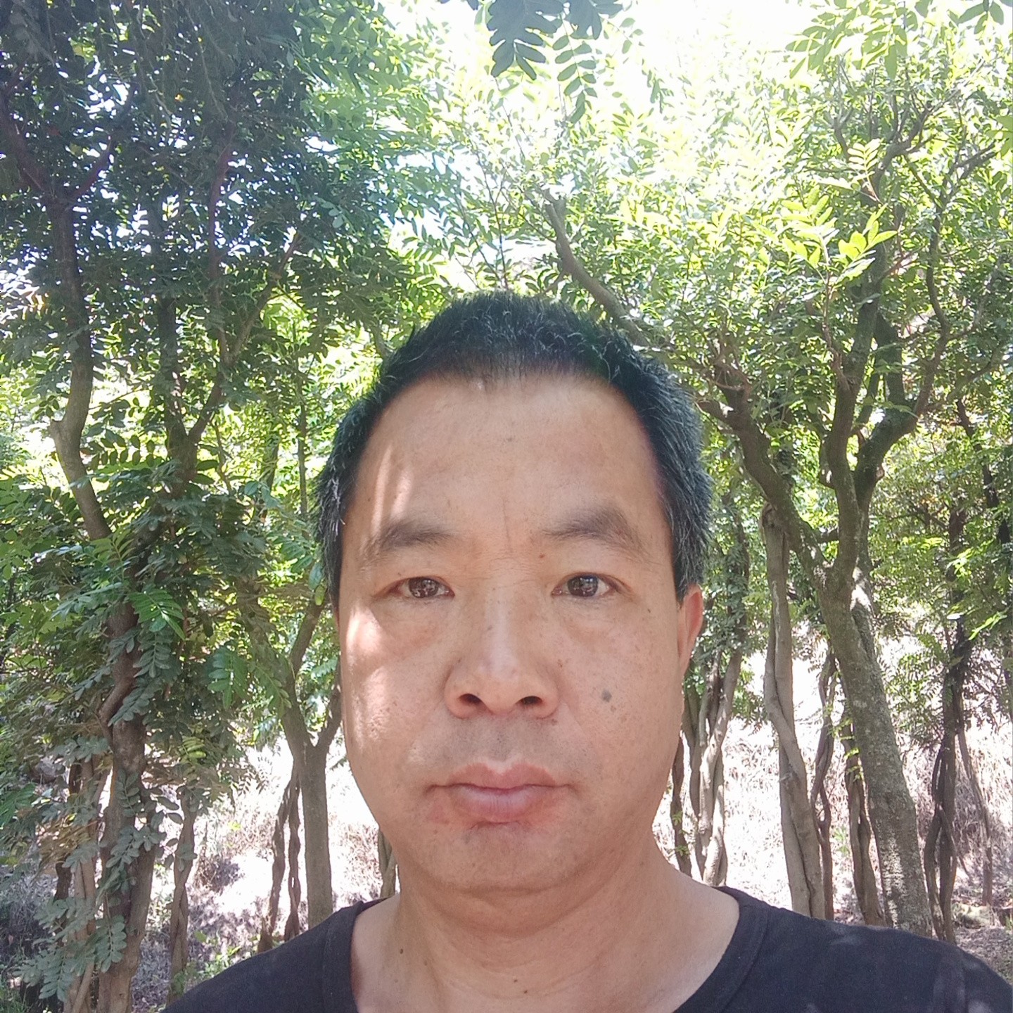 开朗回首忘忧的照片