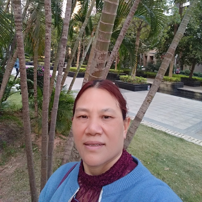 画笔重要的照片