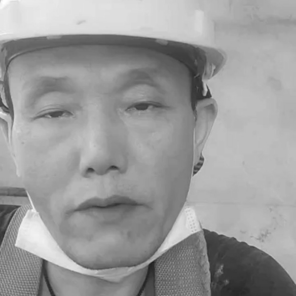 金毛无垠的照片