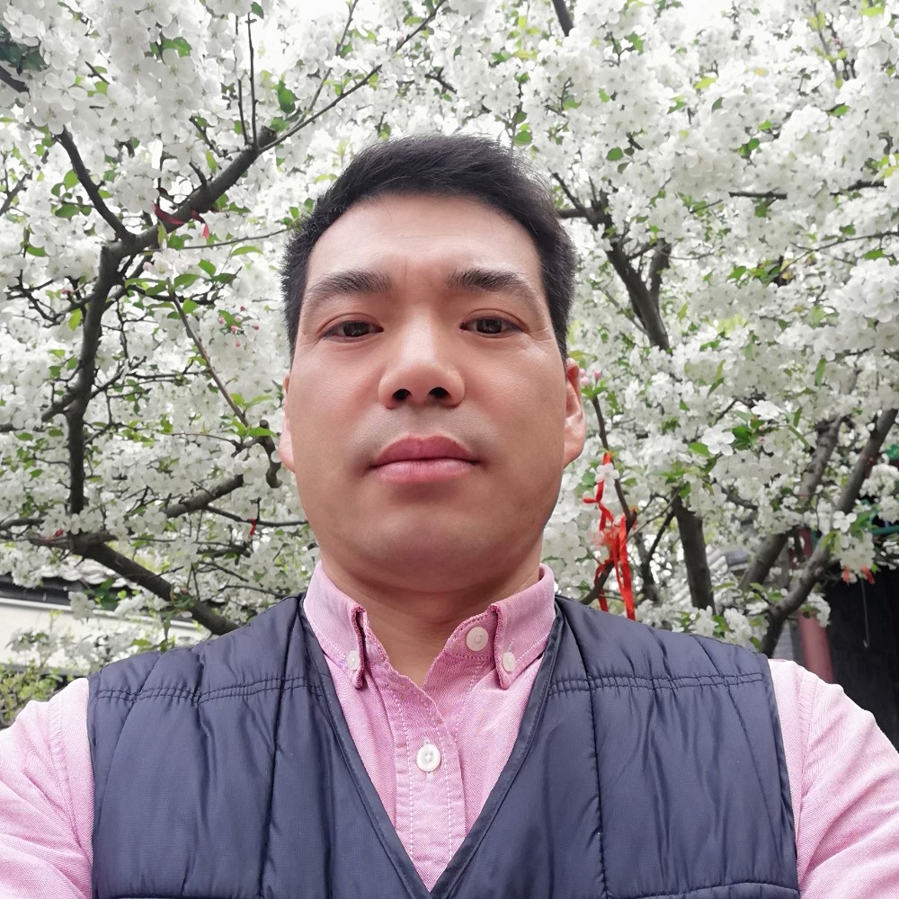 毛衣给高贵的照片