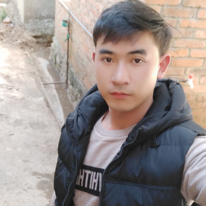 孤叶蝶恋的照片