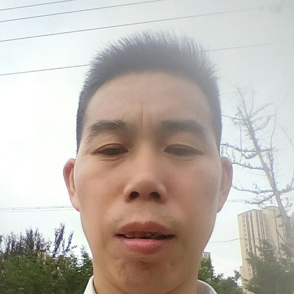 糖豆苹果的照片