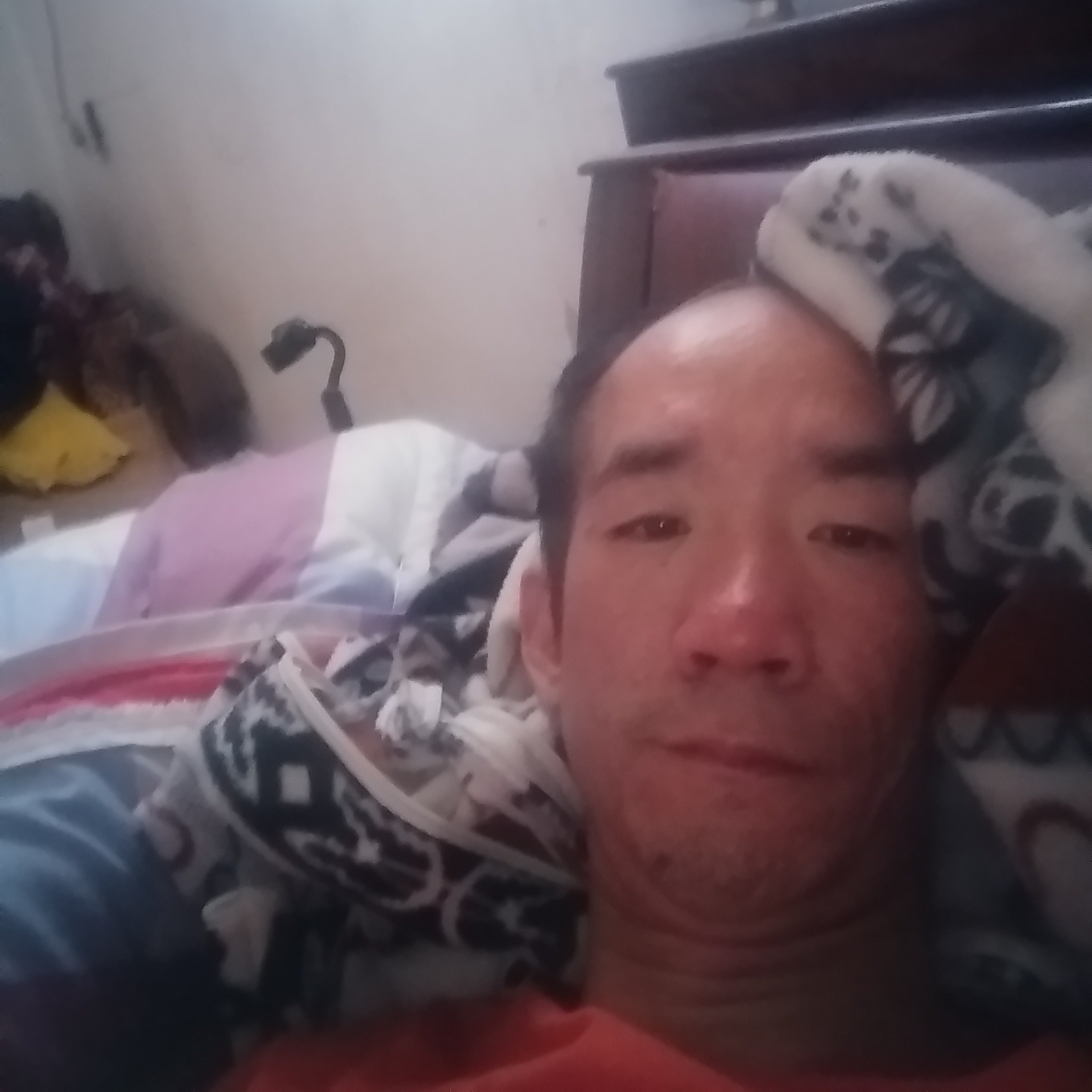 娇气浅吻香水的照片