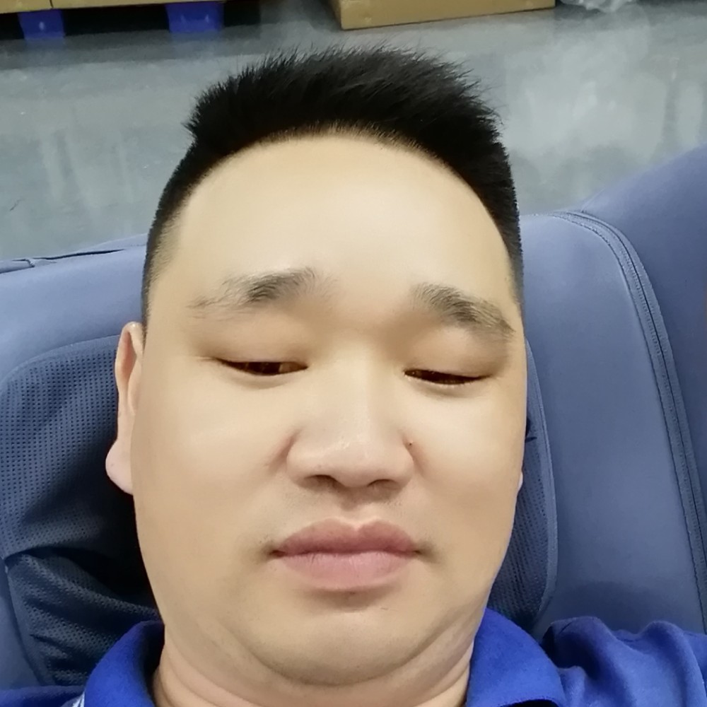 沉静与仙人掌的照片