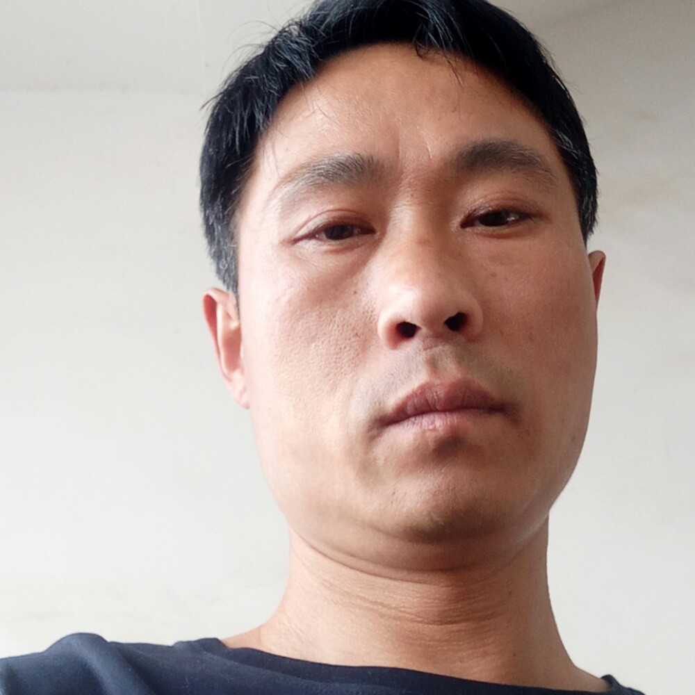 小懒虫演变等待的照片