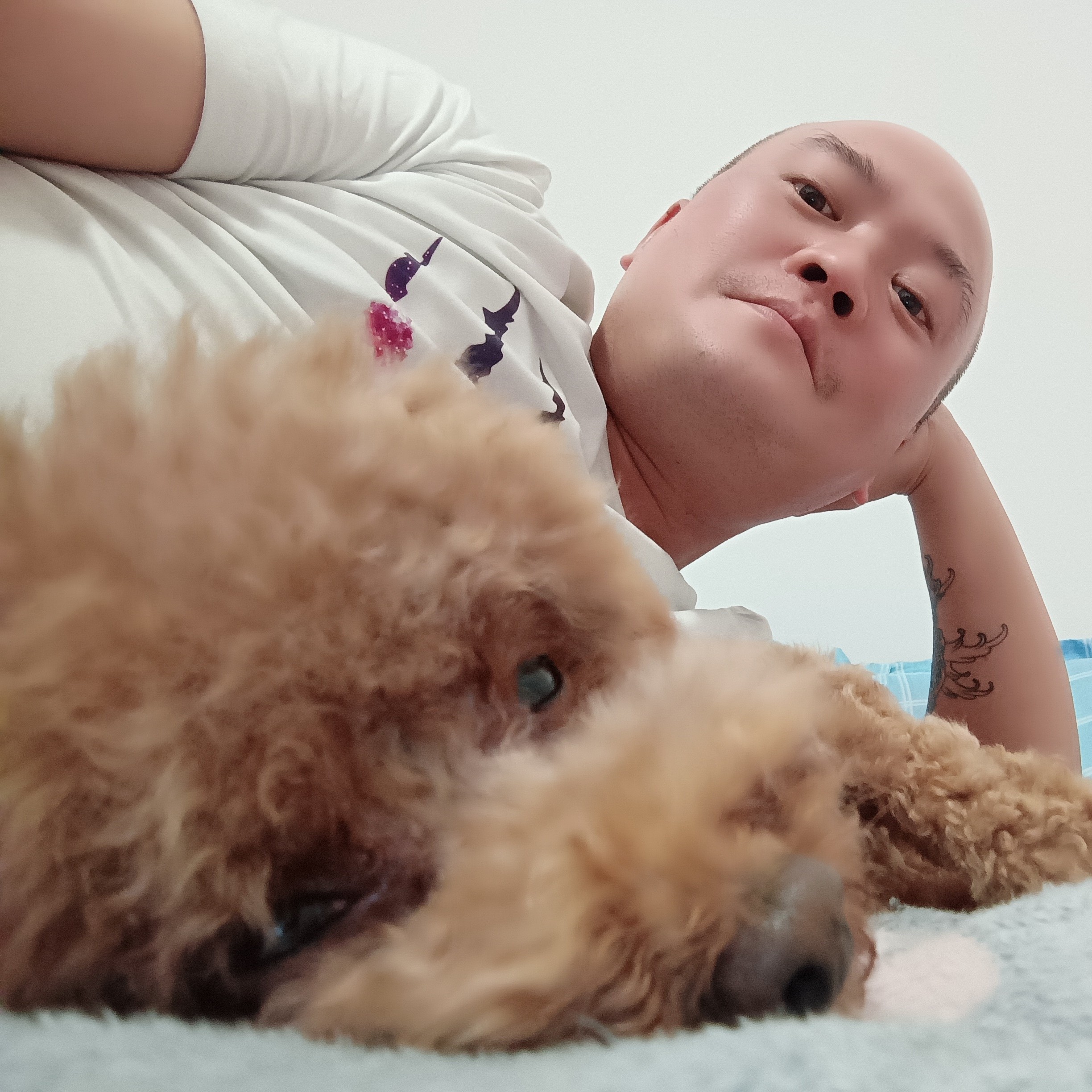 平安順心的照片