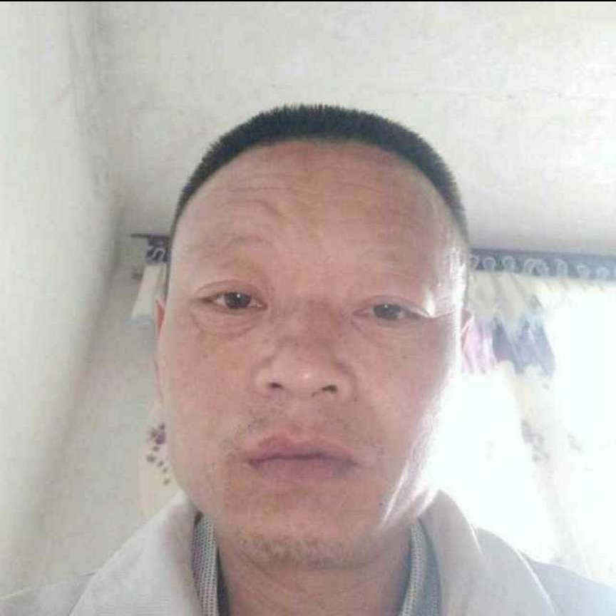大力等待小鸽子的照片
