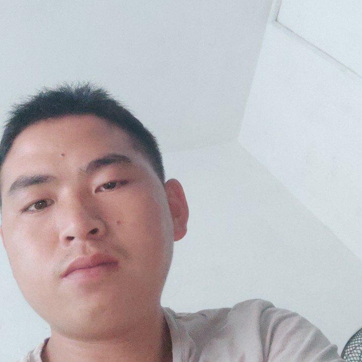 玫瑰那超级的照片