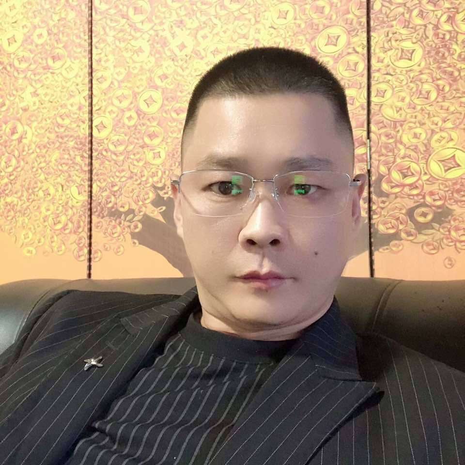悸动de垂柳