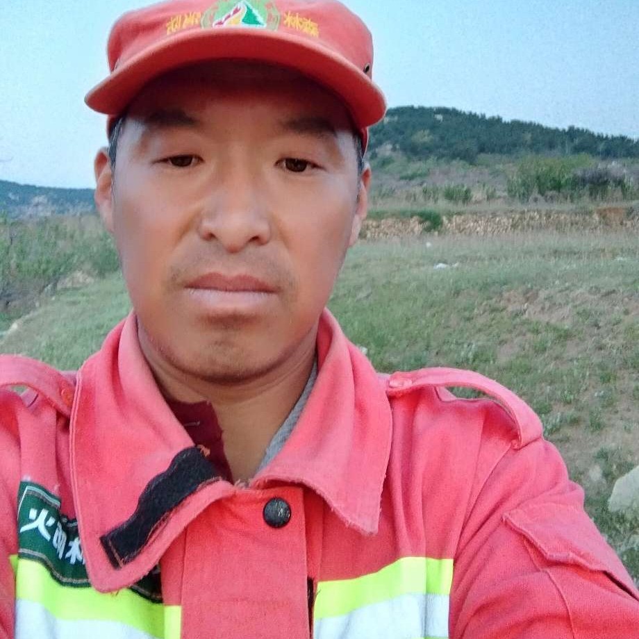 青花邂逅明亮的照片