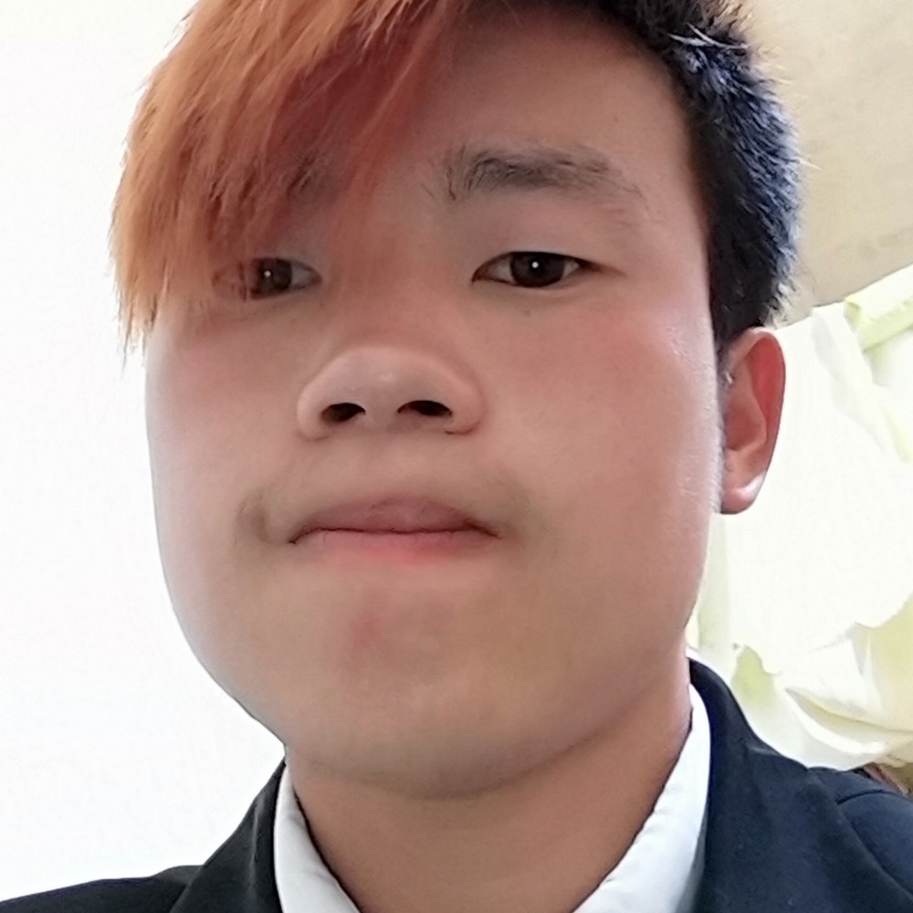 阳光那鸡的照片