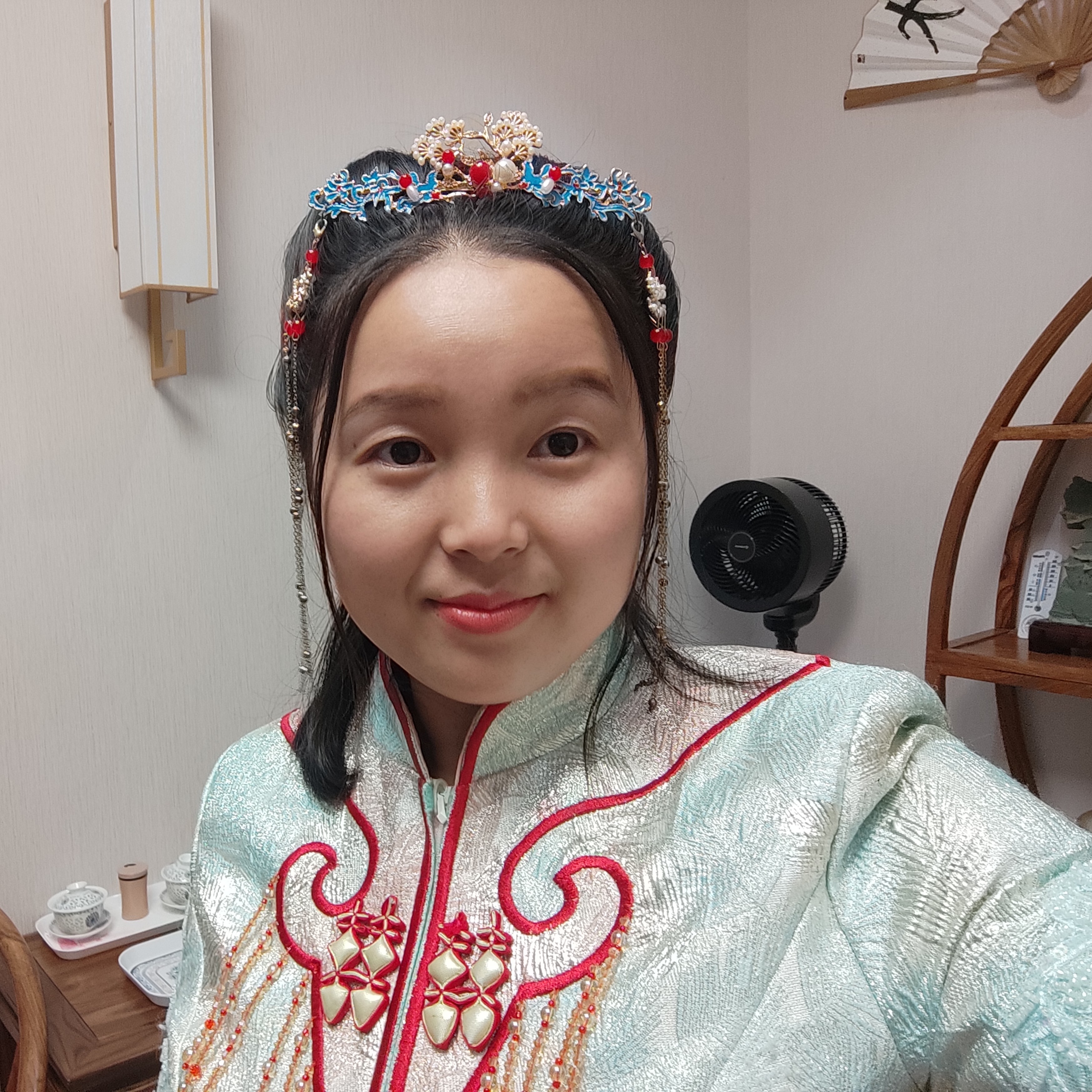 木槿花的照片