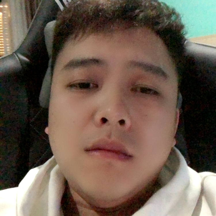 会飞的小老虎的照片