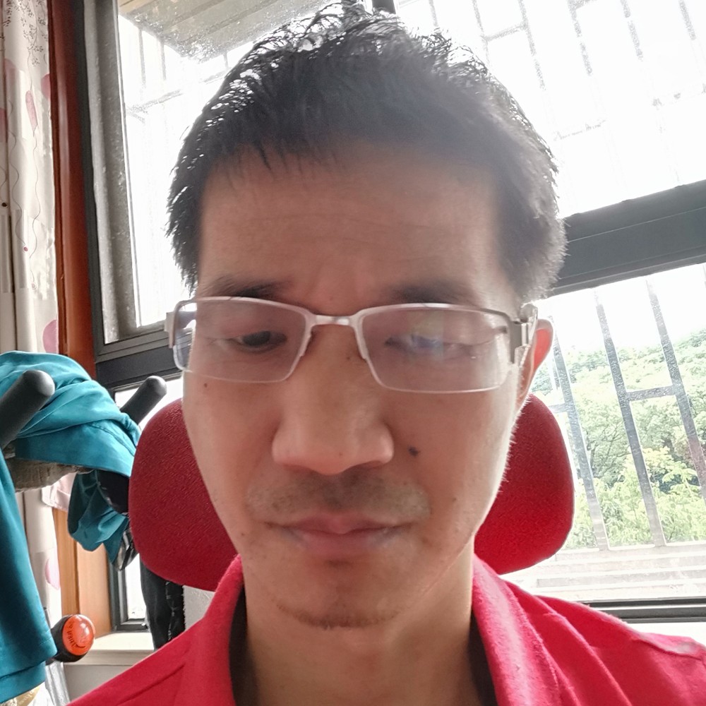 13162857的照片