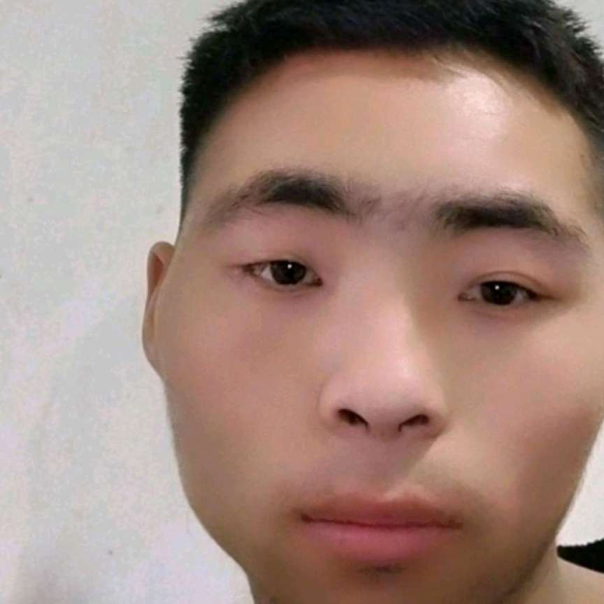 俊秀方含羞草的照片