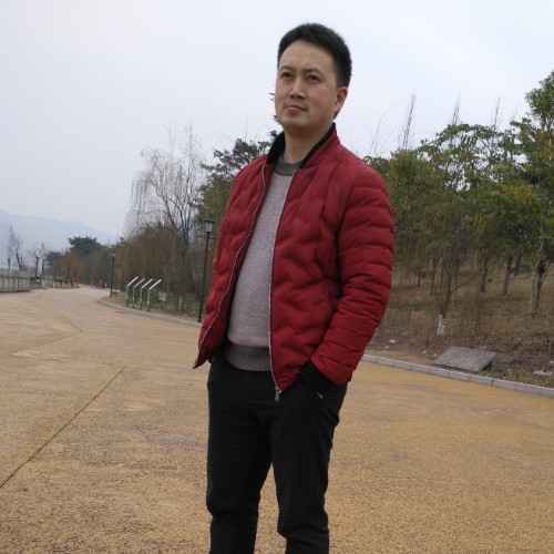 大白鹅的照片