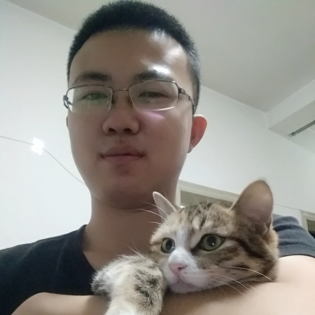 毛巾狂野的照片