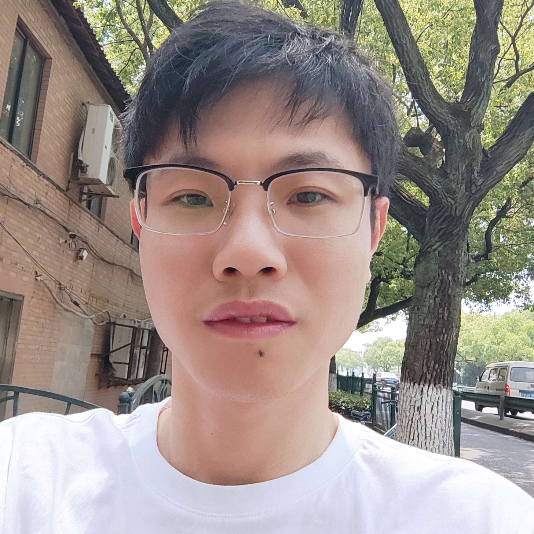 狂野与寒风的照片