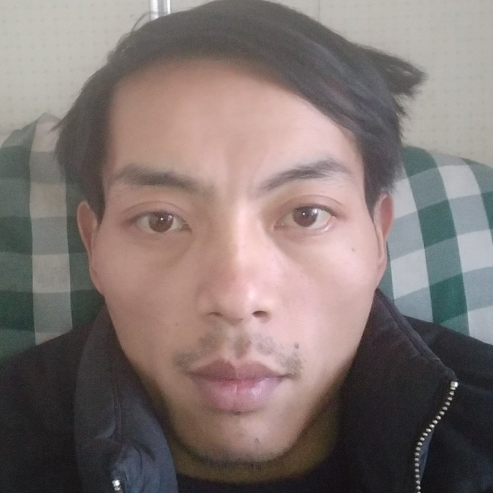 英勇夏天的照片