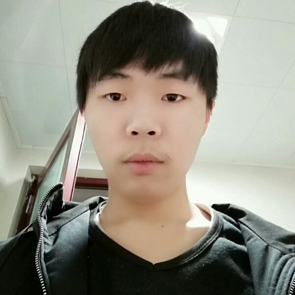 迷人迎太阳的照片