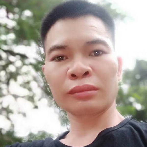 孤独还西牛的照片