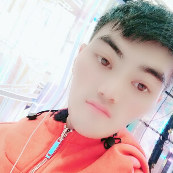 小蘑菇错落的照片