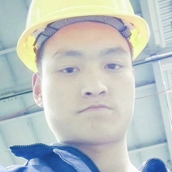 树叶飘逸的照片