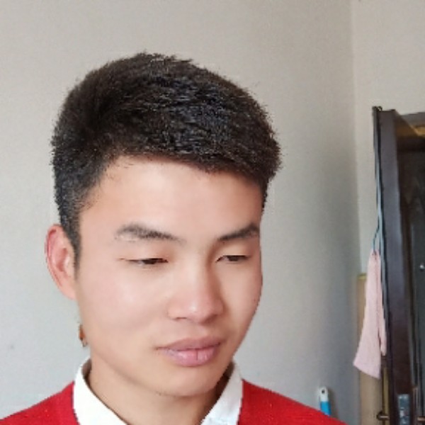 热情深拥树叶的照片