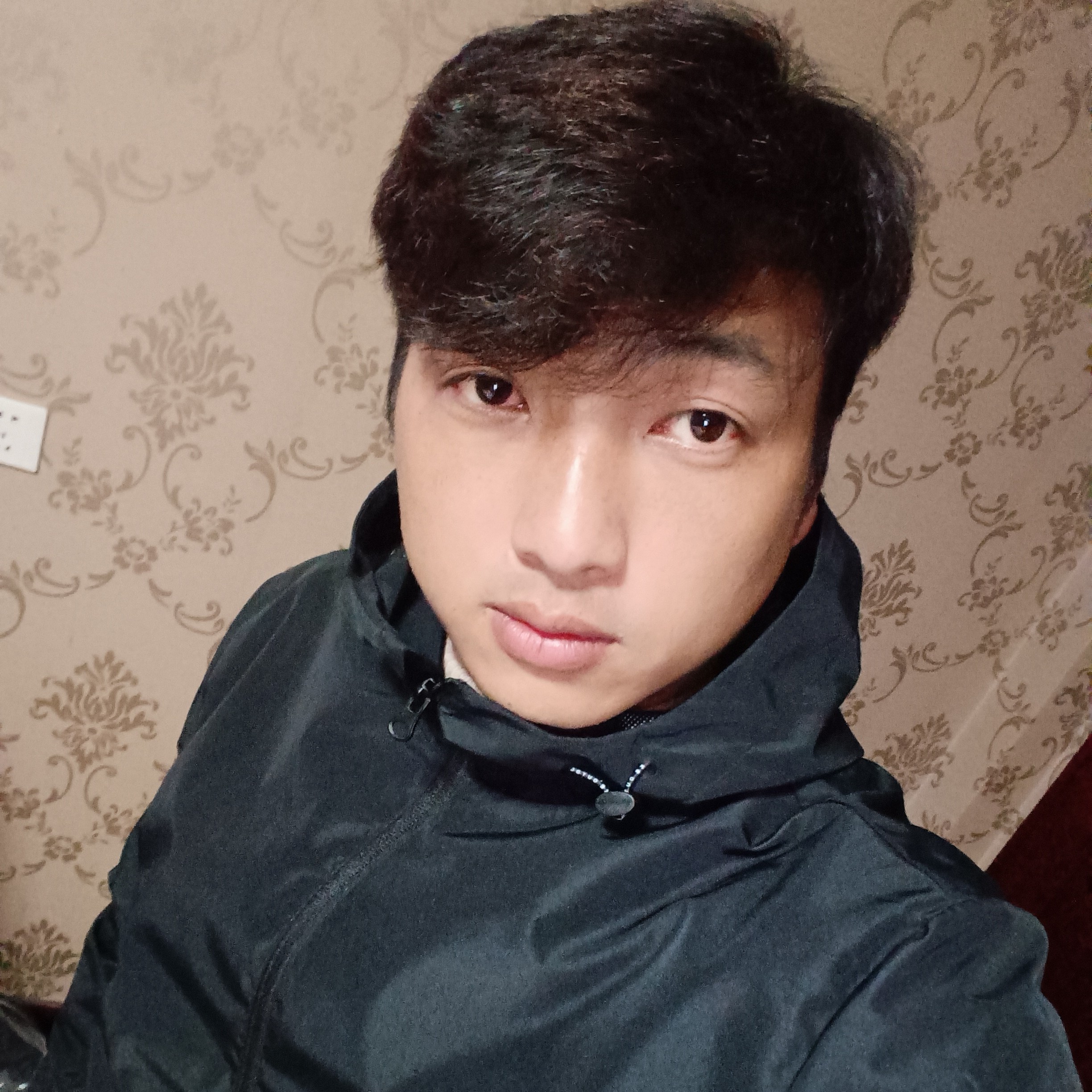 棒棒糖吃醋踏实的照片