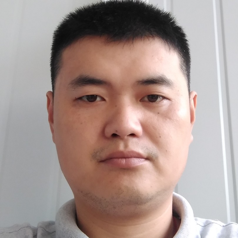 小海豚挽手大力的照片