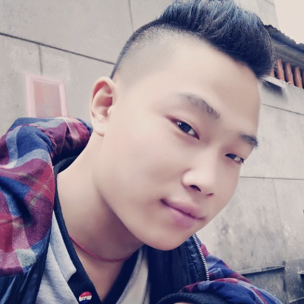 严肃的仙人掌的照片