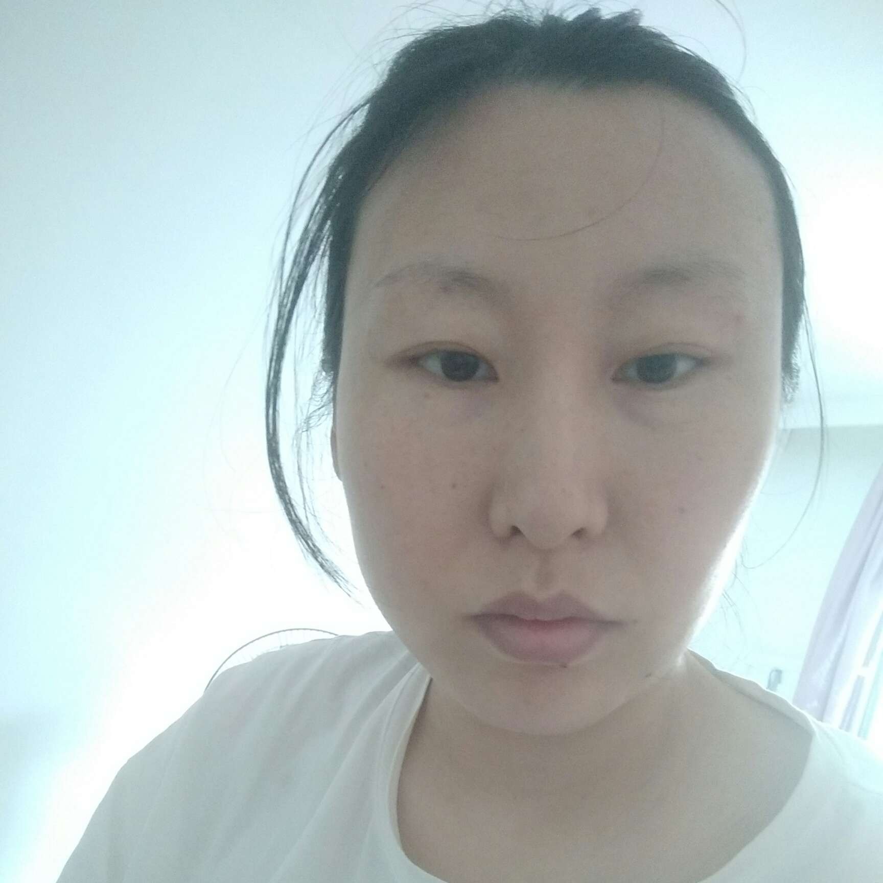 斑马爱的照片