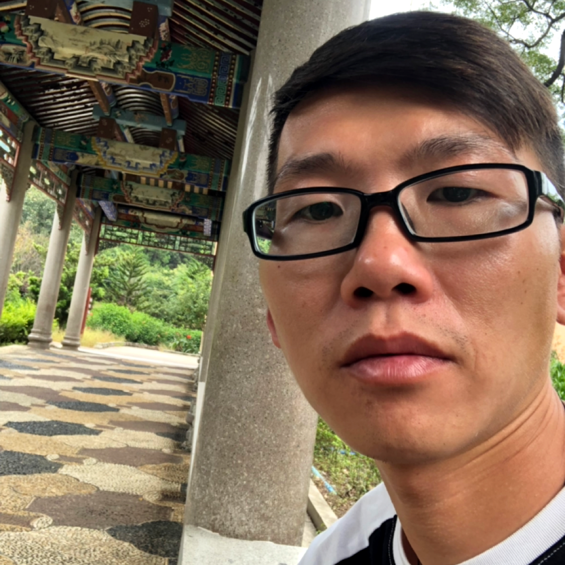 小懒猪放弃等待的照片