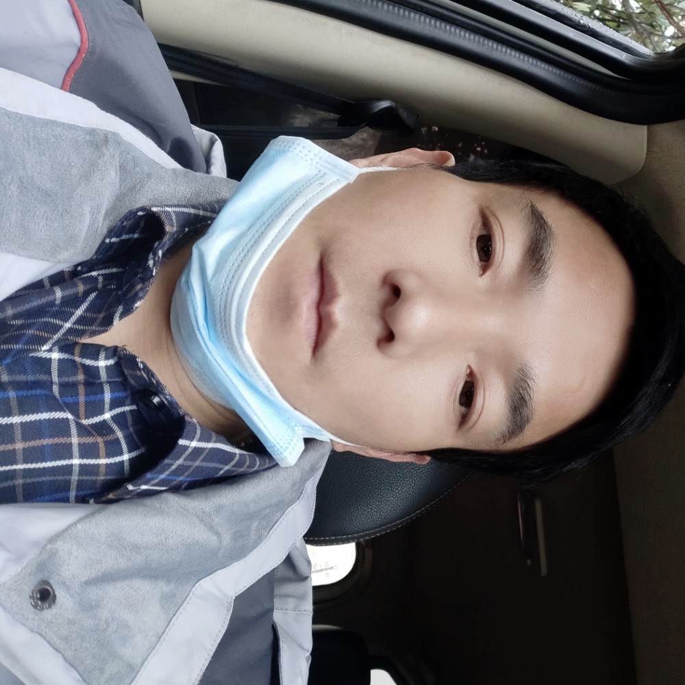 玉米从容的照片