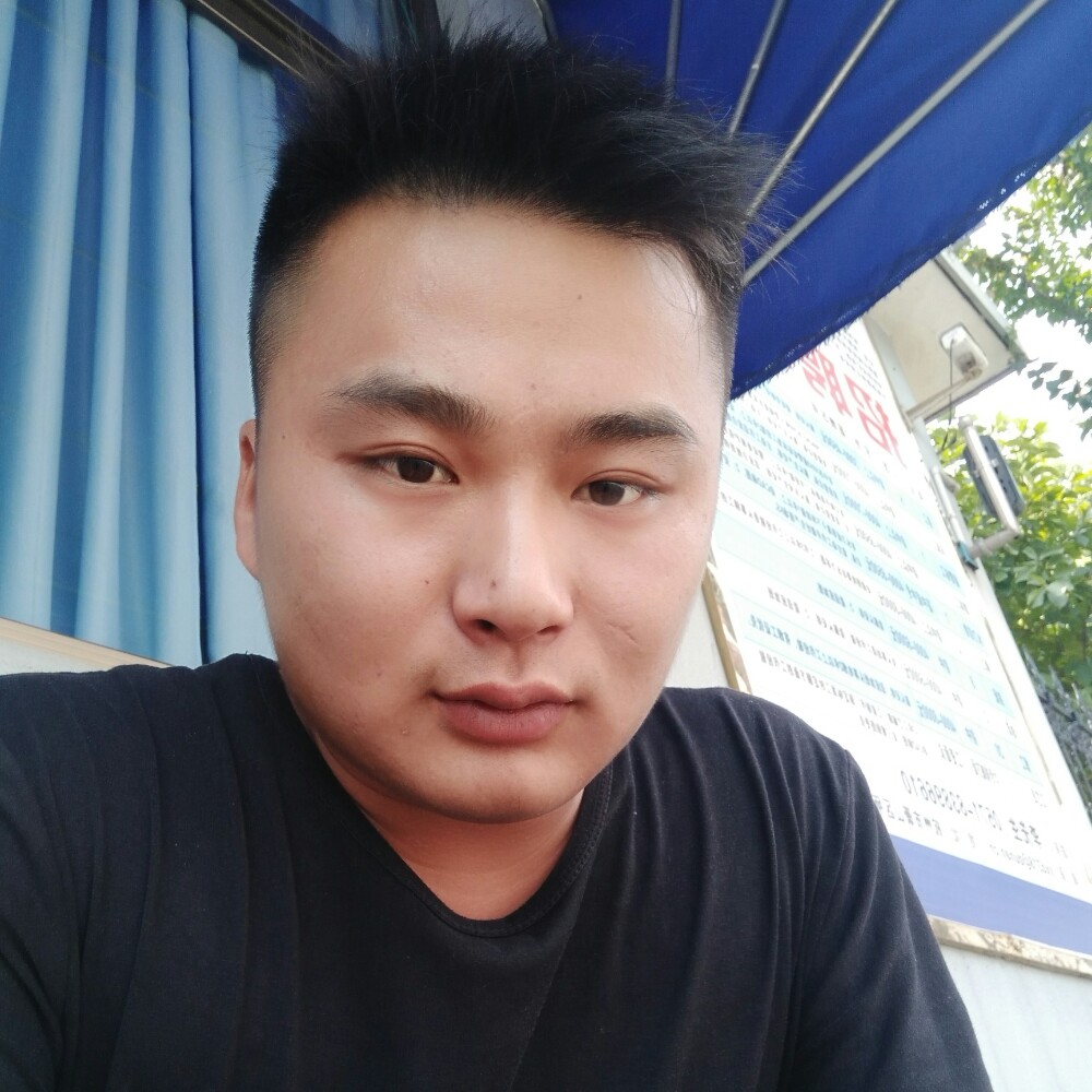 壮观鸡的照片
