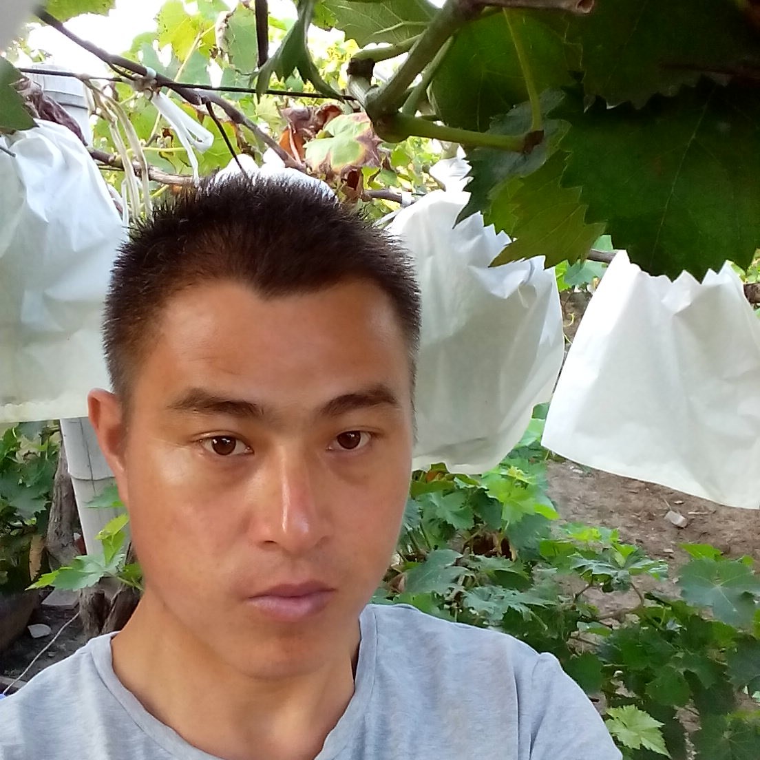 季节拾忆欢喜的照片