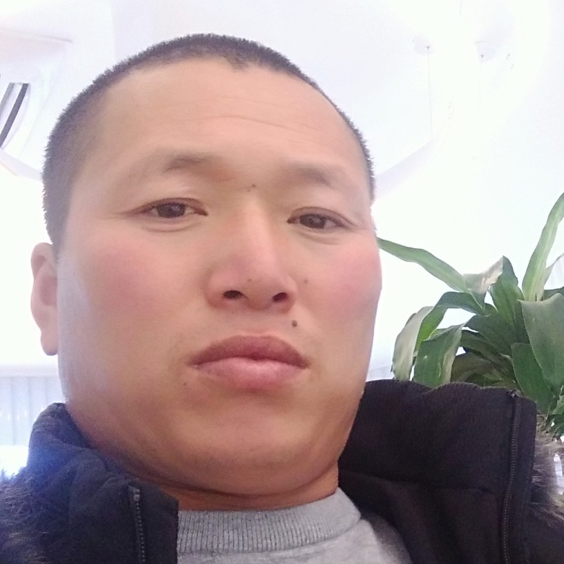 好运来123456的照片